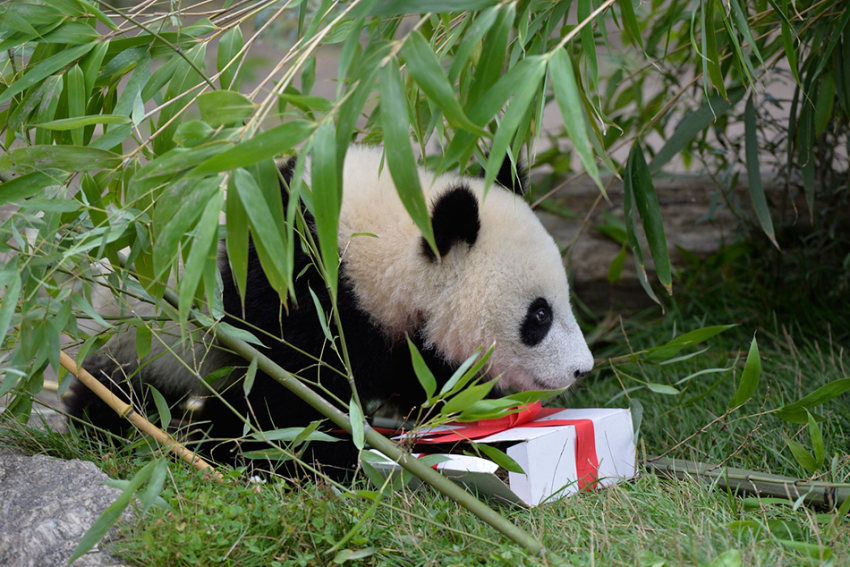 ?? ?? ‘???’ ????? ???