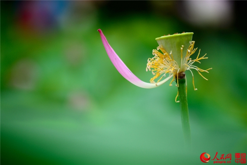 ??? ?? ’?1? ??????’ ??? ??