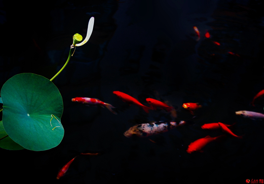 ??? ?? ’?1? ??????’ ??? ??