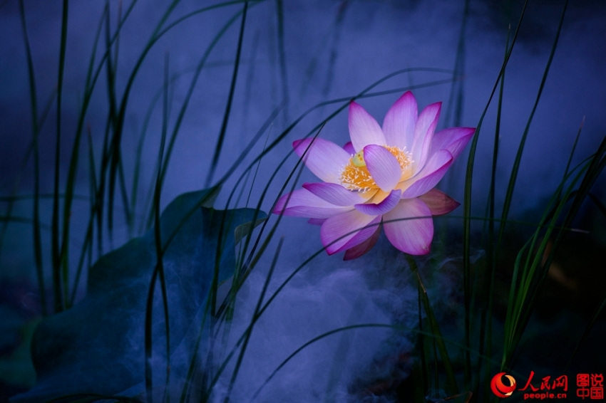 ??? ?? ’?1? ??????’ ??? ??