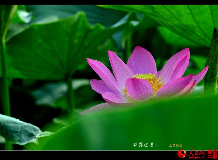 ??? ?? ’?1? ??????’ ??? ??