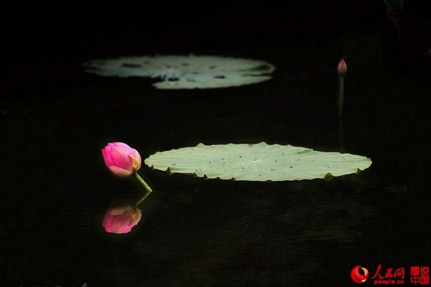 ??? ?? ’?1? ??????’ ??? ??