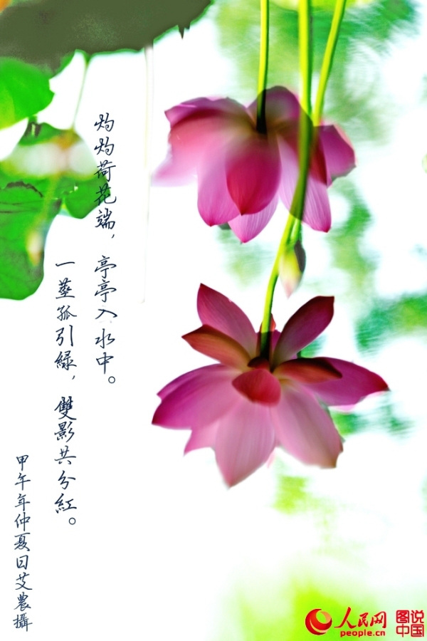 ??? ?? ’?1? ??????’ ??? ??