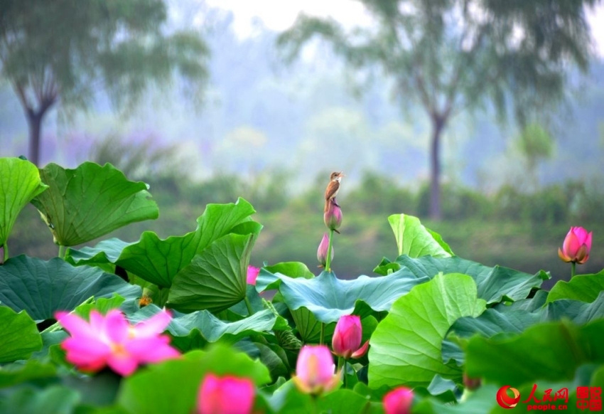 ??? ?? ’?1? ??????’ ??? ??