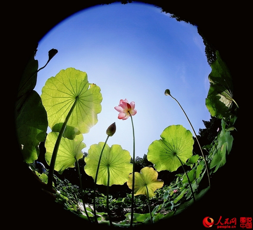 ??? ?? ’?1? ??????’ ??? ??