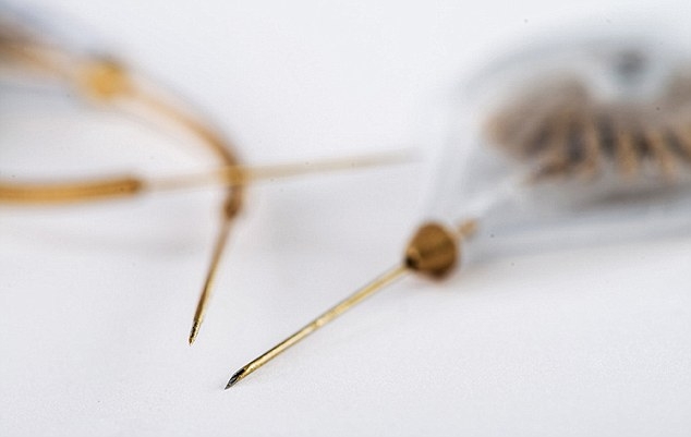 ???? ????, ????? ??? ????