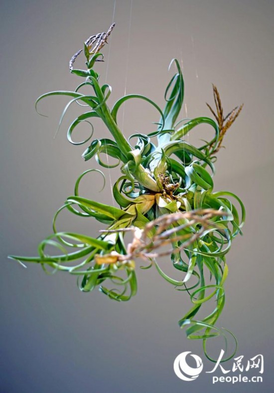 ‘?? ????’,??? ?? ?????? ??