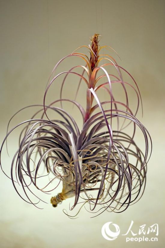 ‘?? ????’,??? ?? ?????? ??