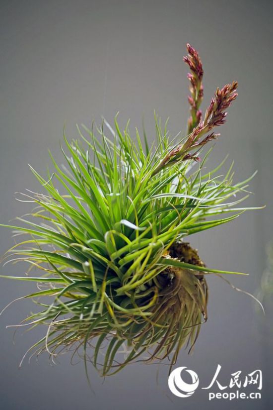 ‘?? ????’,??? ?? ?????? ??