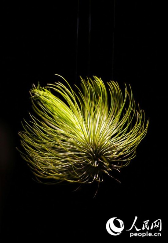 ‘?? ????’,??? ?? ?????? ??