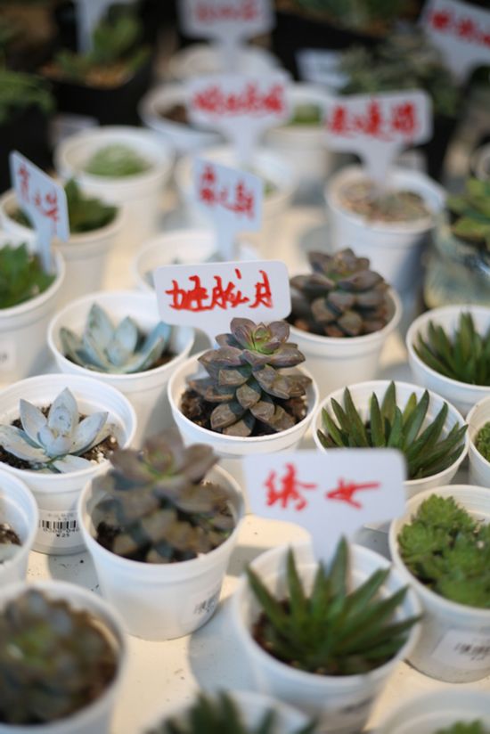 ‘?? ????’,??? ?? ?????? ??