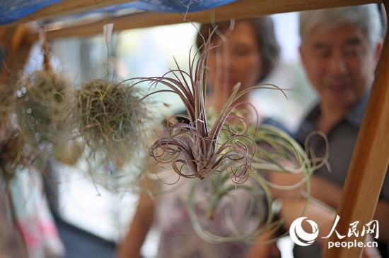 ‘?? ????’,??? ?? ?????? ??