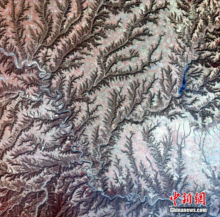 中, ??? ???? ‘???1?’ ?? ??