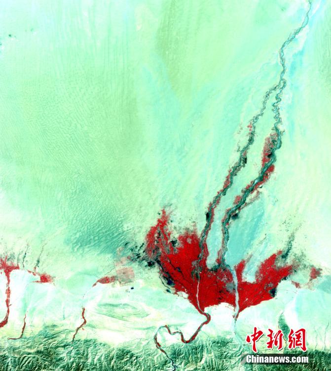 中, ??? ???? ‘???1?’ ?? ??