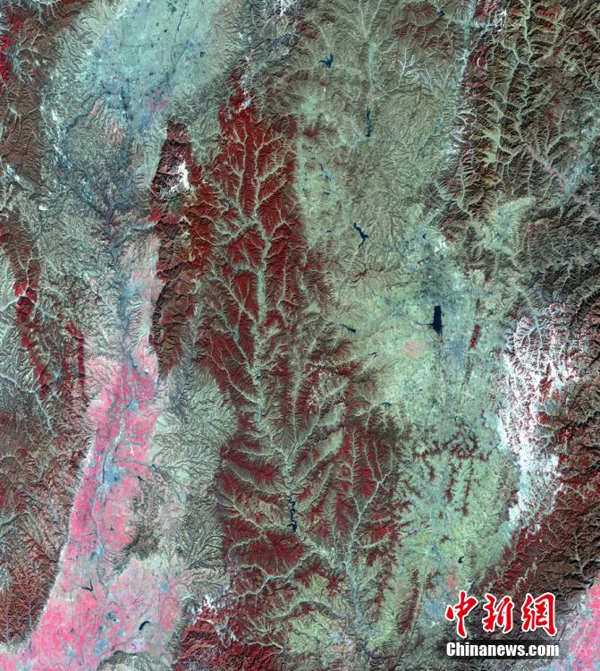 中, ??? ???? ‘???1?’ ?? ??