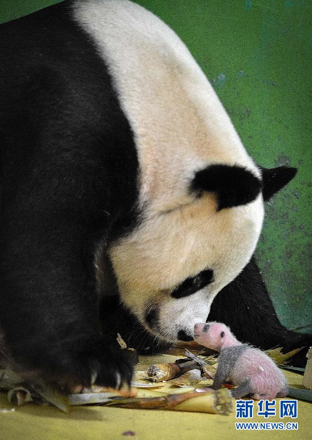 ?? ? ???, ???? ???? ?? 4? ??