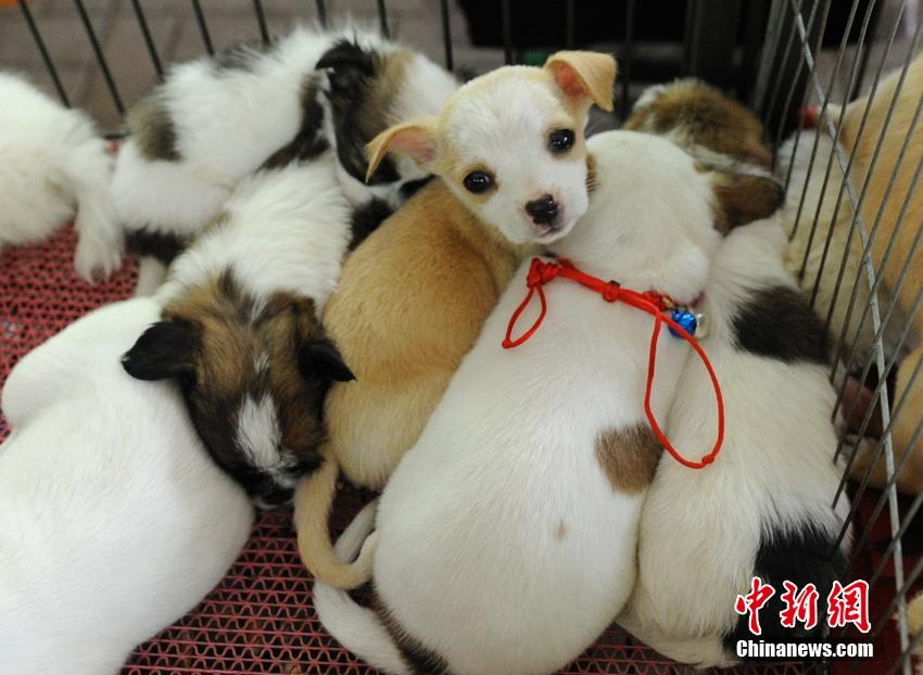 ???????: ???? ???? ???