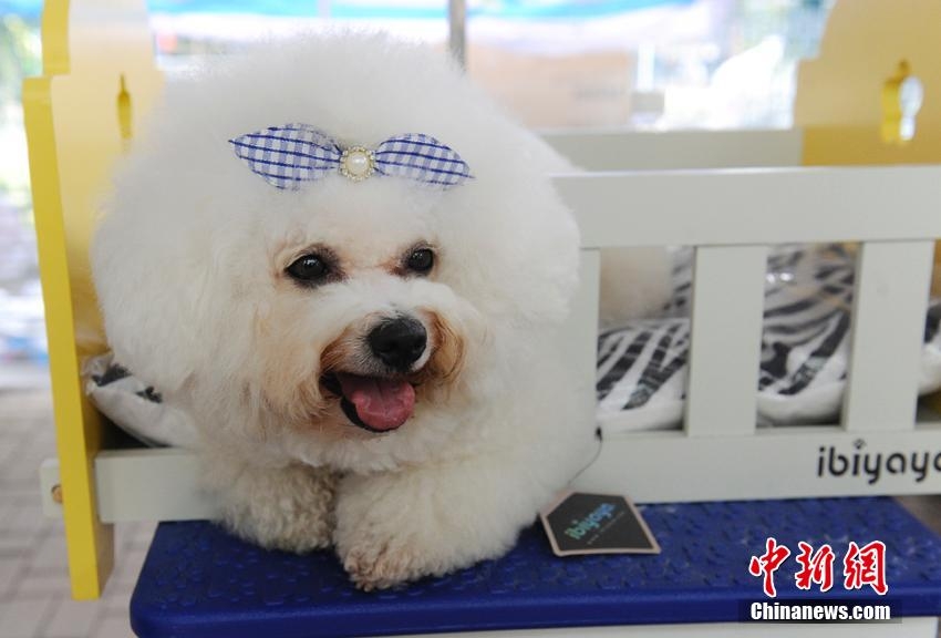 ???????: ???? ???? ???