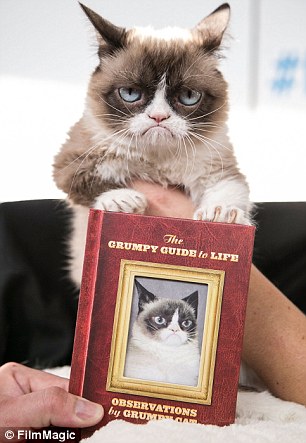 ?? ‘Grumpy Cat’, ??? ???? ?? ??? ?? ??