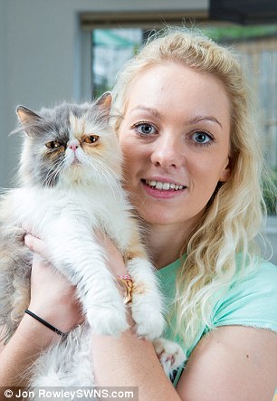 ?? ‘Grumpy Cat’, ??? ???? ?? ??? ?? ??