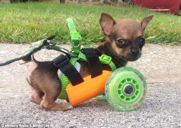 ?? ?? ???…?? ???? ?? ?