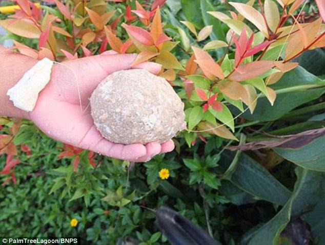 英 ???,63Kg ?? ?? ??…???? ??