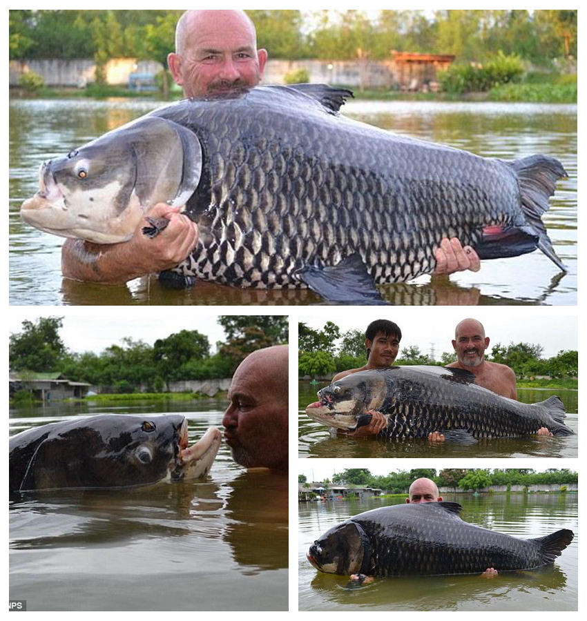 英 ???,63Kg ?? ?? ??…???? ??