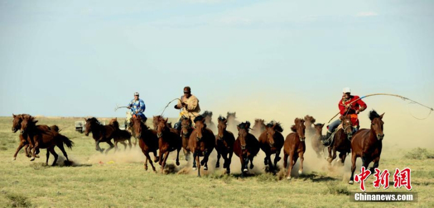 ??-?? ??? ?? ????? ?? 