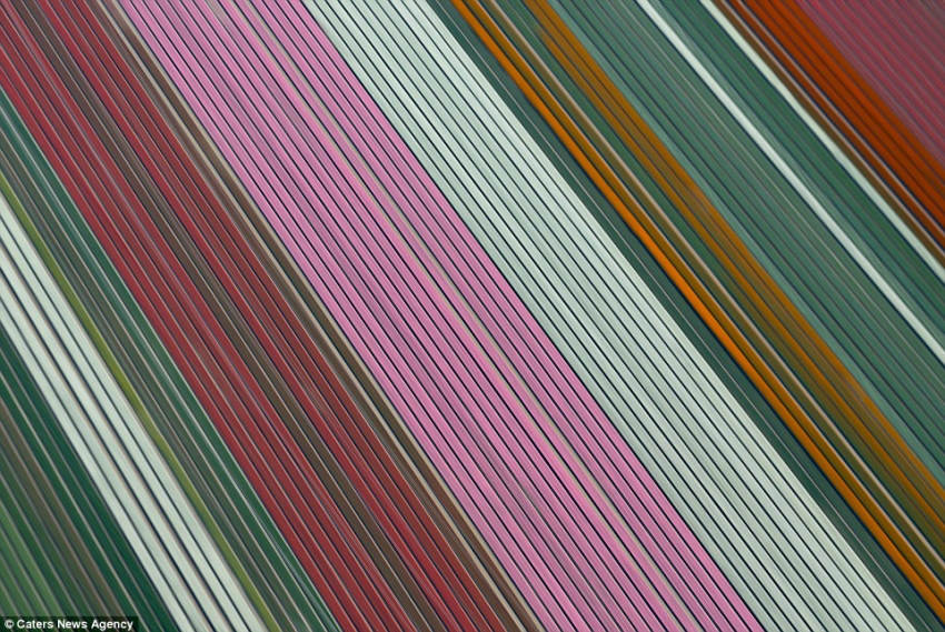 ???? ?? ????, ??? ??? ??? ??