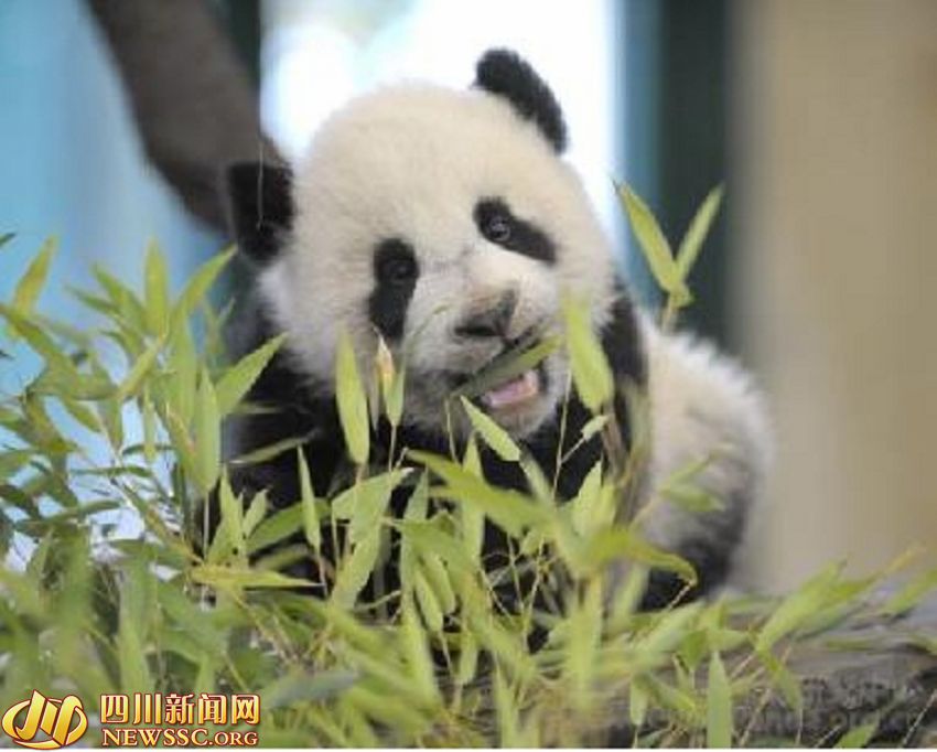 ???? ?? ???? ????: ?? ?? ??? 1/993? ??