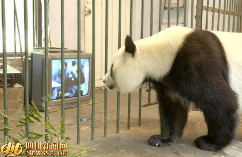 ???? ?? ???? ????: ?? ?? ??? 1/993? ??