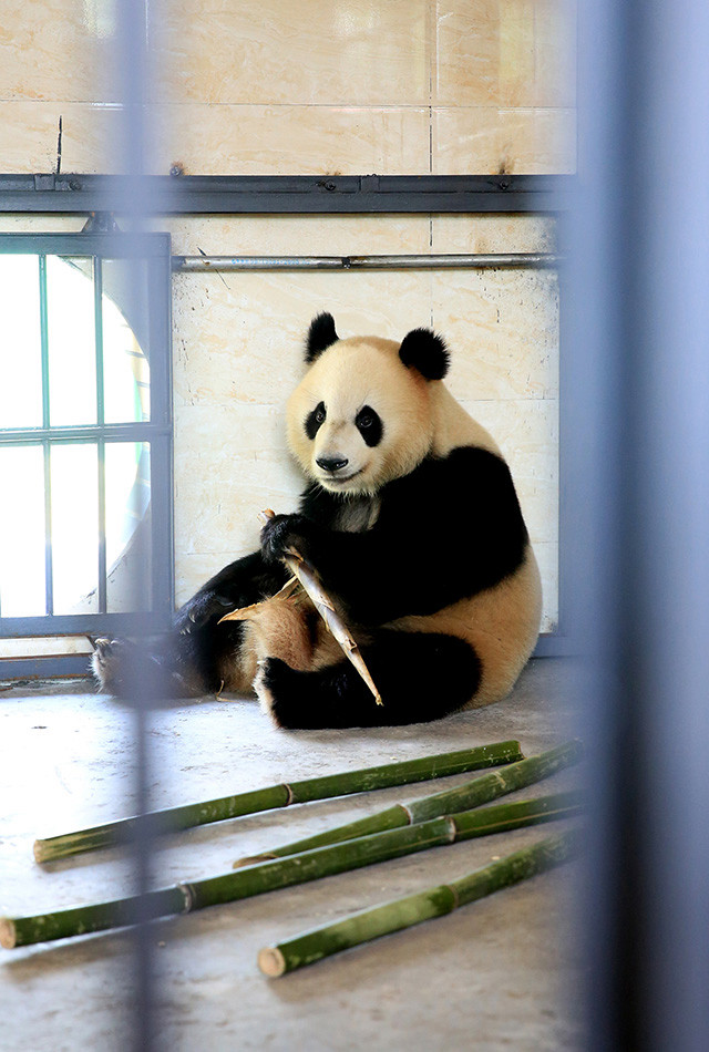 ?? ?? 2??, ??? ???? ?? 中  