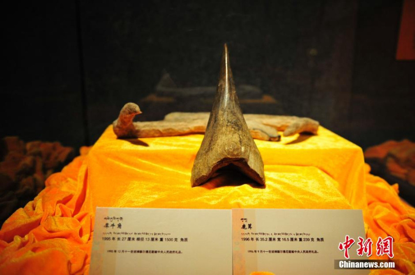 ?? ?????? ?? ??? ????? ??? ??? ??