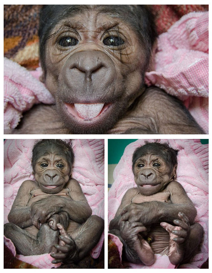 美 ??? ?? ????, ‘?? ?? ??’ 