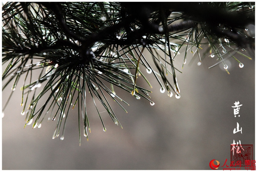 ?? ?? ??(奇山) – ??…???? ??