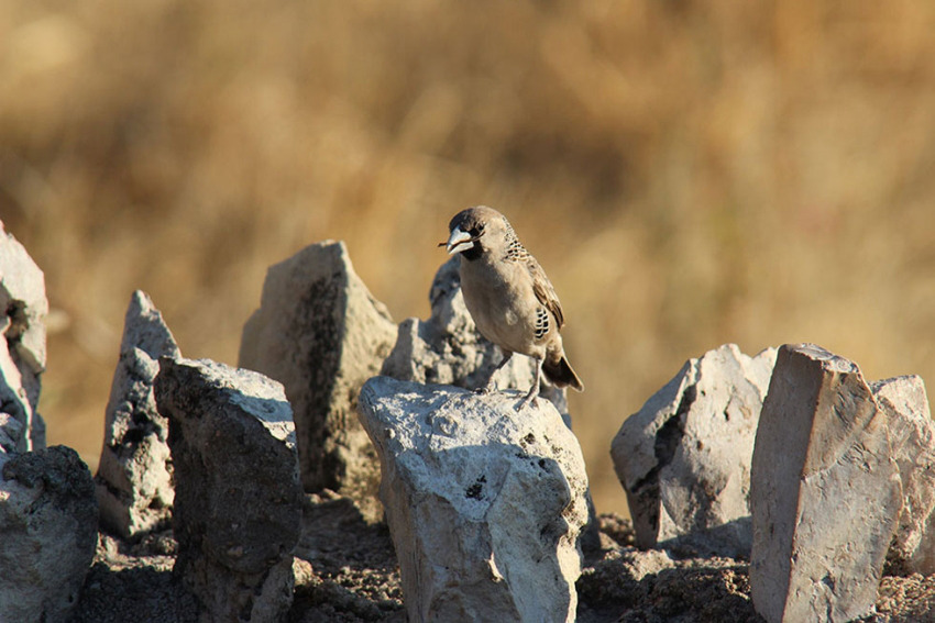 ?? ?? ?? 2? ?? ? ??…?? ?? ???