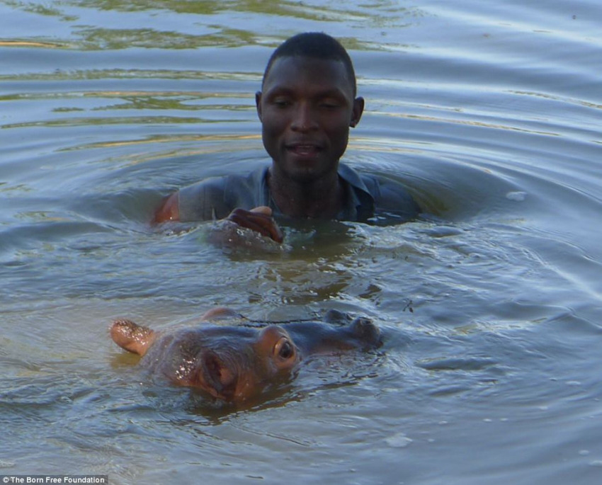 ??? ?? ??, ??? ??? ??? ?? 