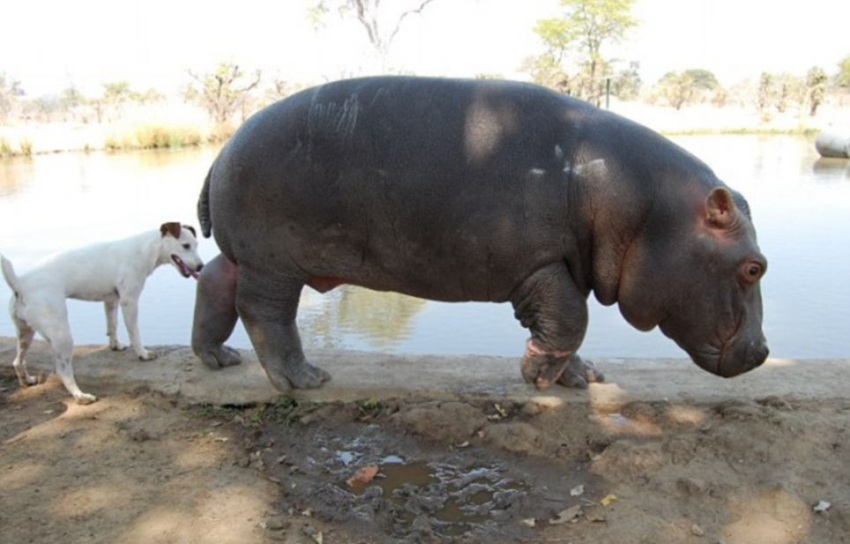 ??? ?? ??, ??? ??? ??? ?? 