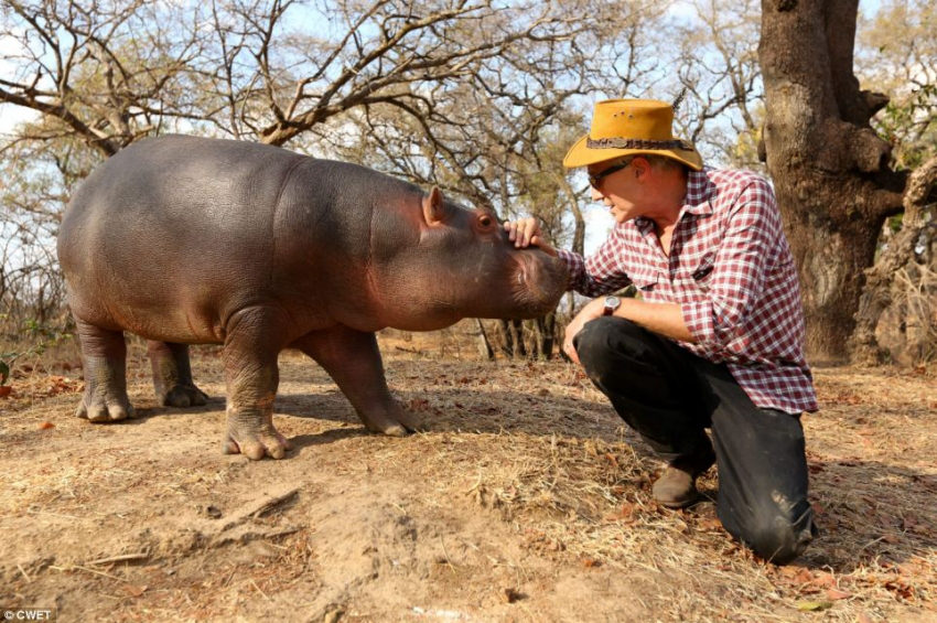 ??? ?? ??, ??? ??? ??? ?? 