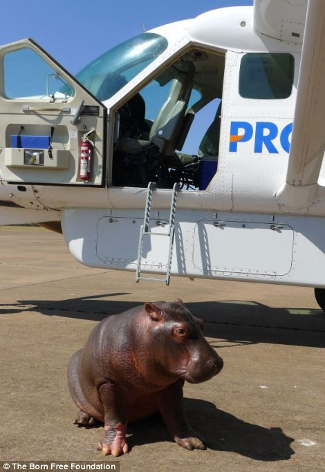 ??? ?? ??, ??? ??? ??? ?? 