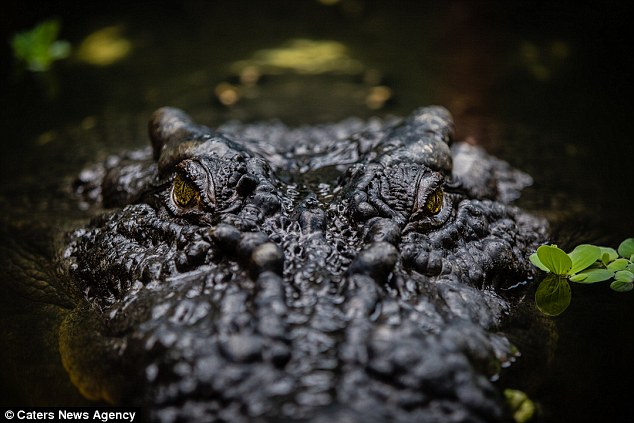 ?? 84? ???, ??? 30?? ?? ??