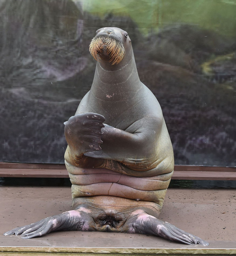 ?? ???? ‘???’ ?????, ‘???? ??’ ??