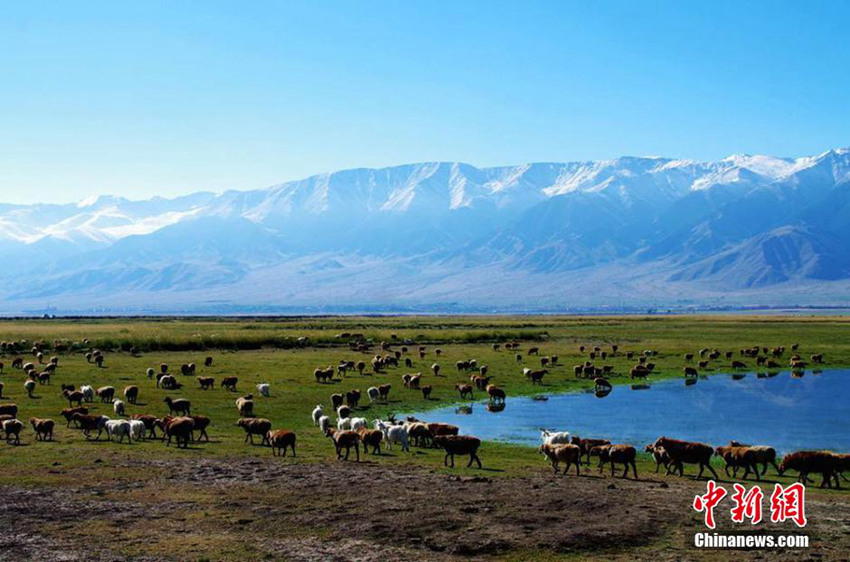 ?? ??? ? ?? ? ? ??…‘? ?? ?? ??’