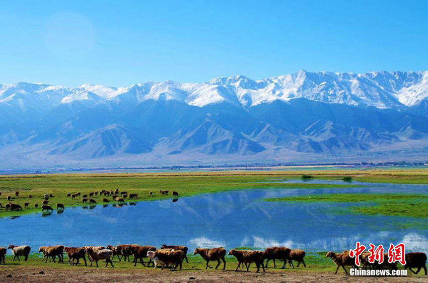 ?? ??? ? ?? ? ? ??…‘? ?? ?? ??’