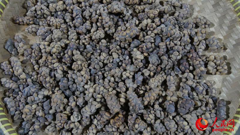 [??? ????? ??] ?????? ‘????? ??’