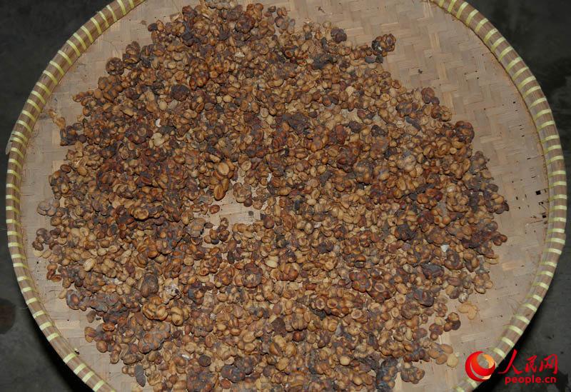 [??? ????? ??] ?????? ‘????? ??’