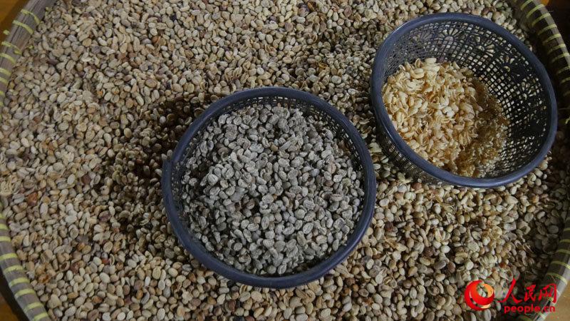 [??? ????? ??] ?????? ‘????? ??’