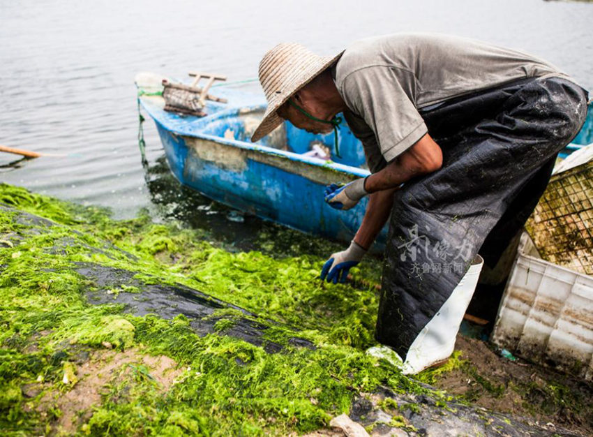 ?? ??? ‘?? ???’? ?? ??