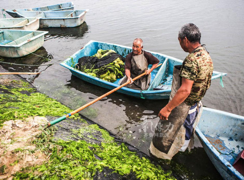 ?? ??? ‘?? ???’? ?? ??