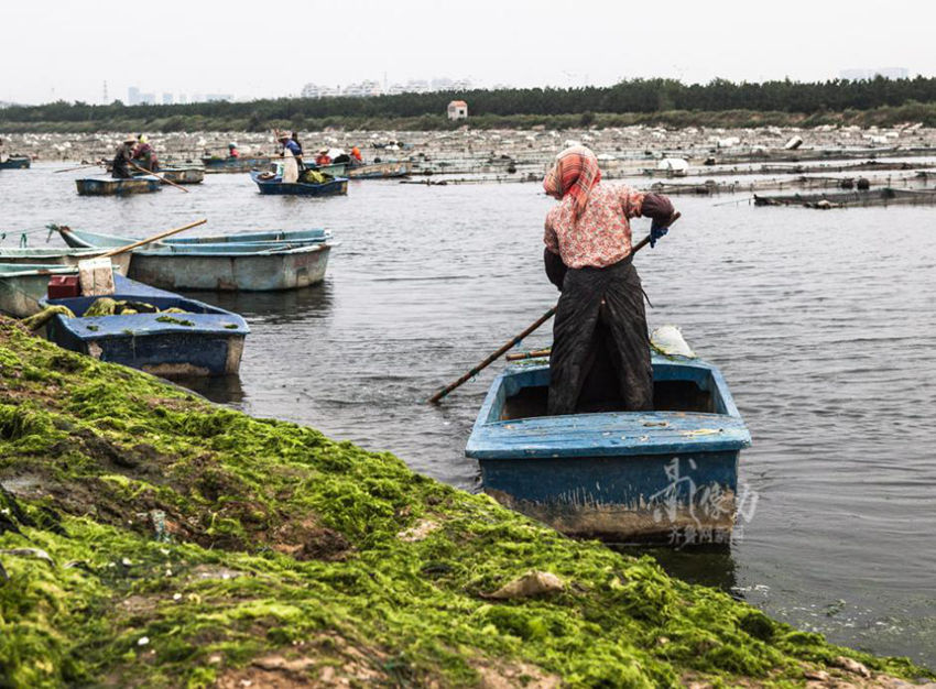 ?? ??? ‘?? ???’? ?? ??